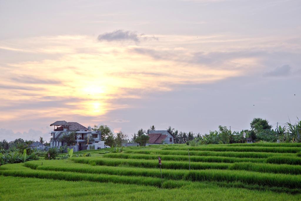 Paddy View Villa Kuta  Exterior photo