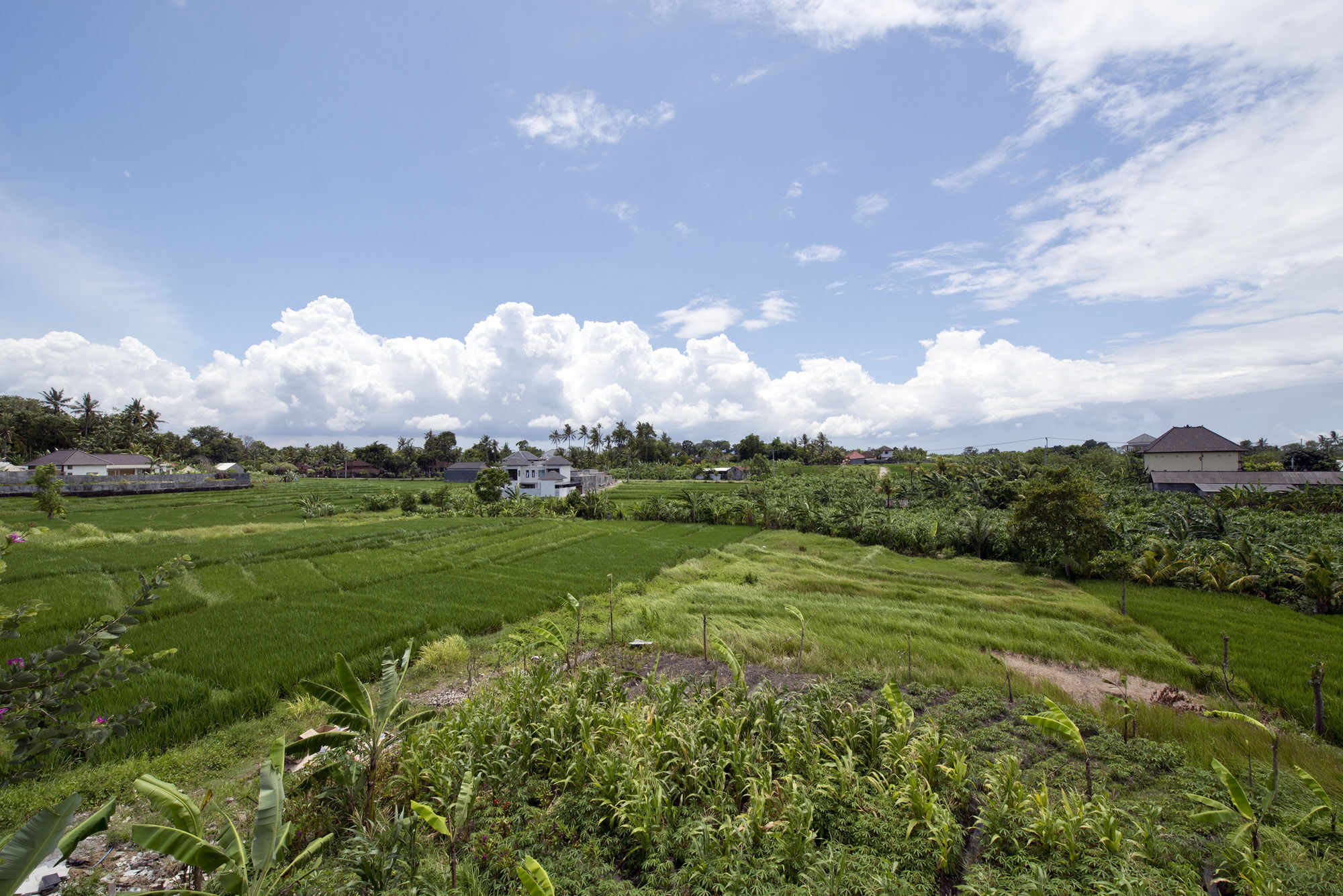 Paddy View Villa Kuta  Exterior photo